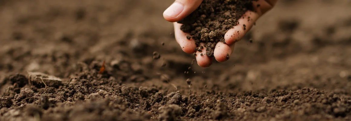 Hand hält fruchtbare Erde
